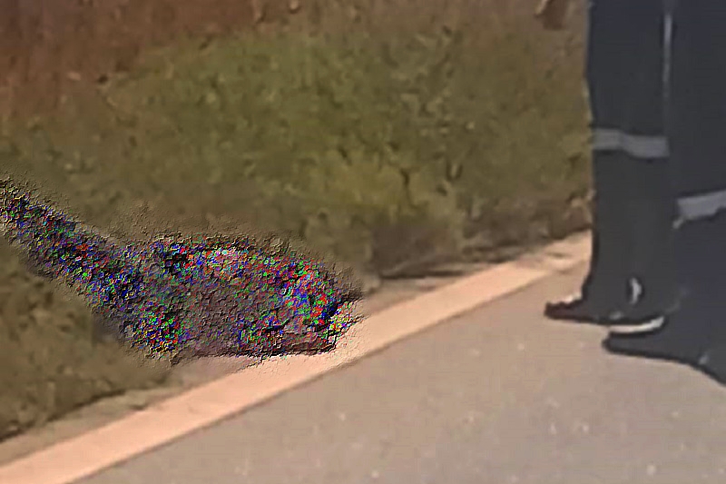 202407080816site.jpg